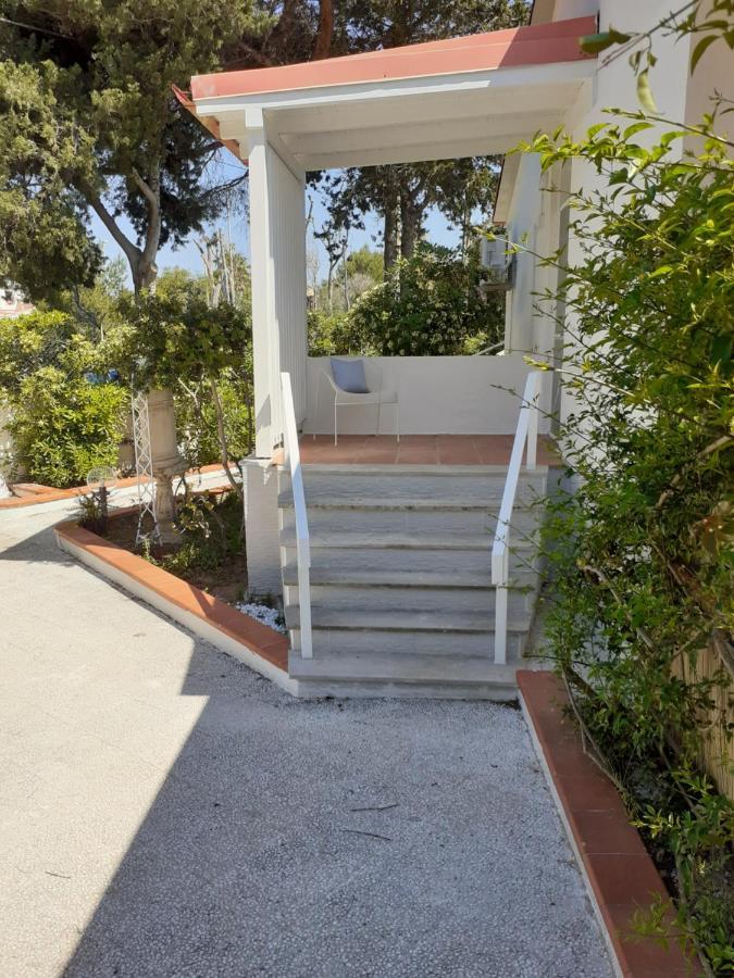 Dei Fiori, Vicino Di Punta Pizzo Gallipoli