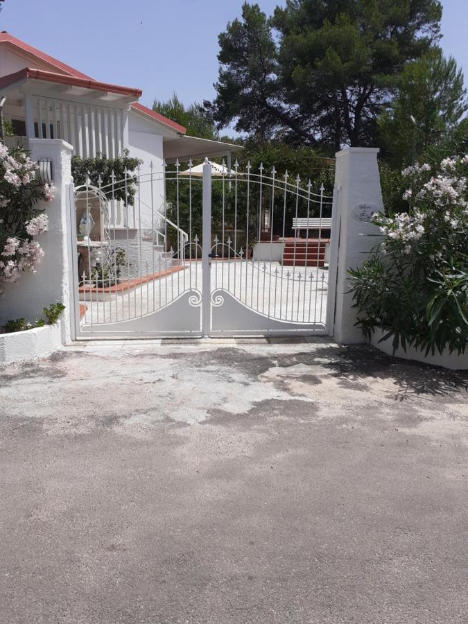 Dei Fiori, Vicino Di Punta Pizzo * Gallipoli