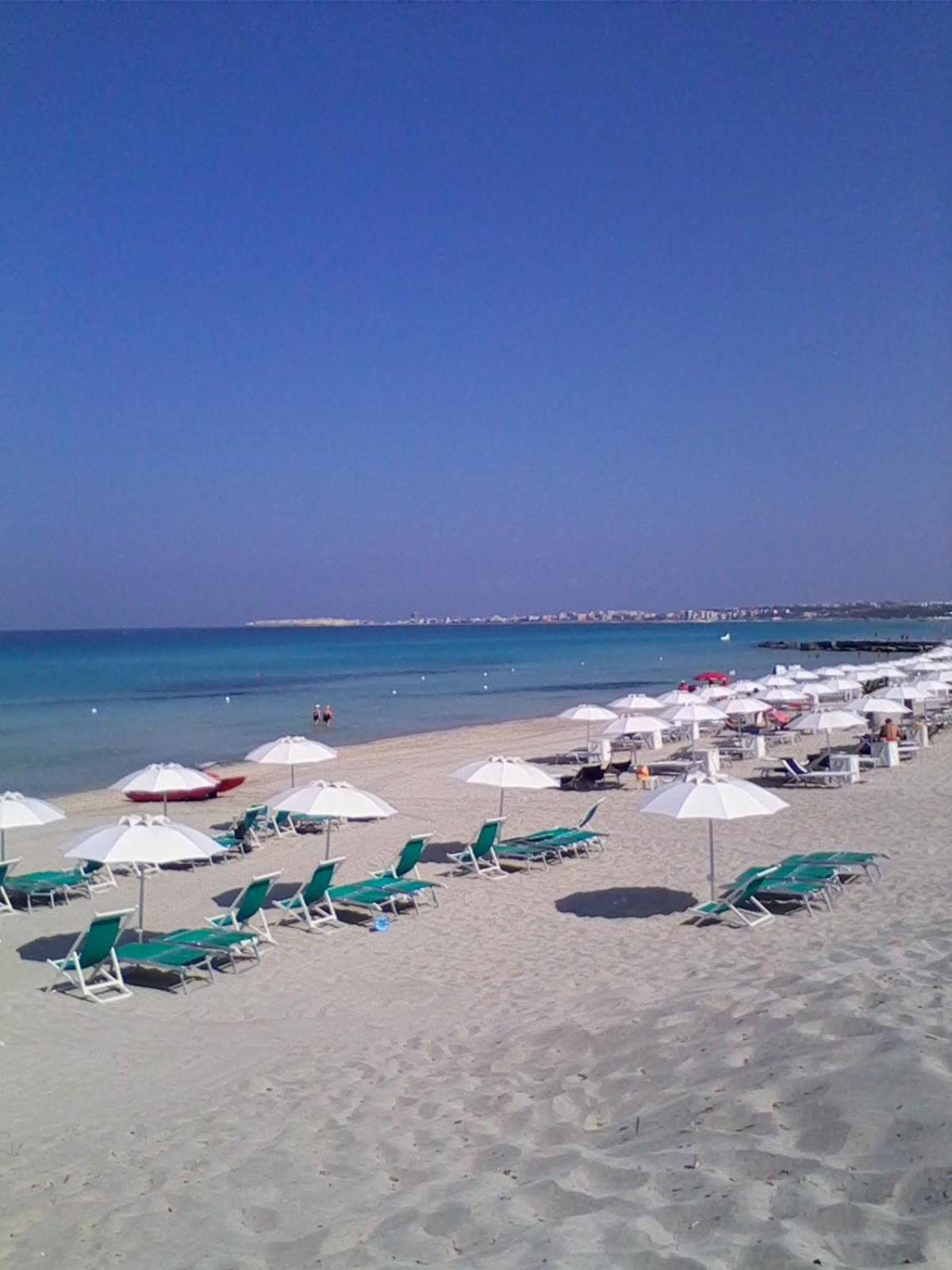 Dei Fiori, Vicino Di Punta Pizzo *